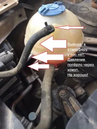 Зоти БАЧОК.webp